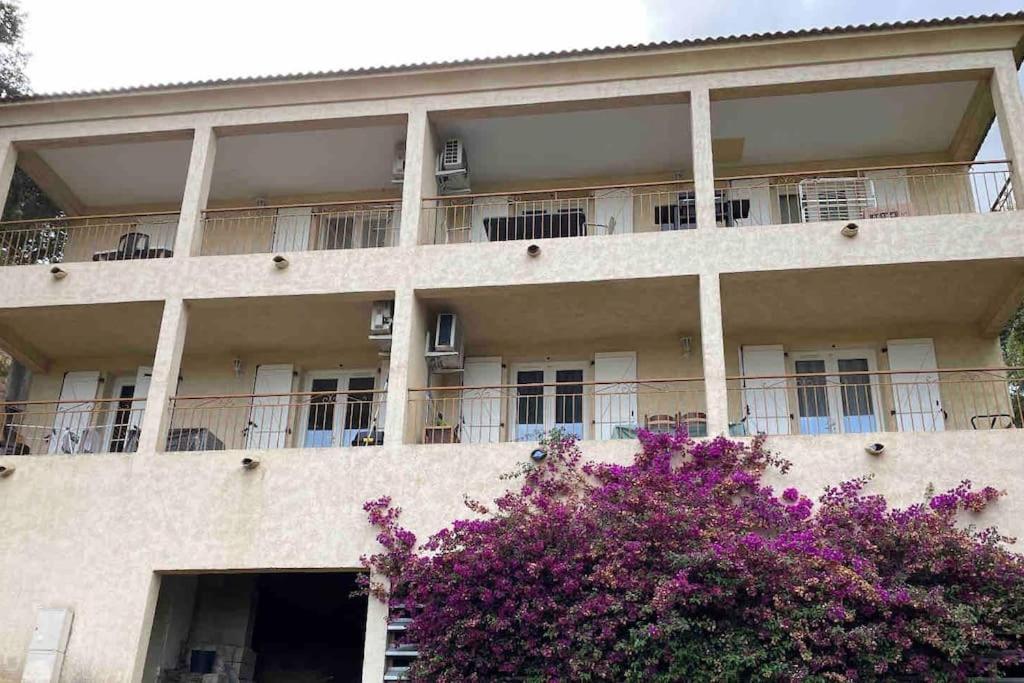 Appartement Casarella Bulle De Paix En Corse Entre Terre Et Mer à Lucciana  Extérieur photo